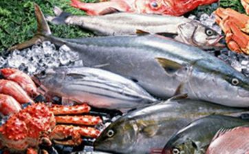 带仁字的干货店名称大全 带仁字的干货店名称大全