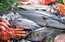 带仁字的干货店名称大全