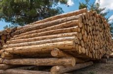 商务宾馆两字可爱的店名