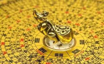 1988年属龙的终身正财位