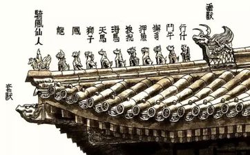 榉树在风水上能够旺宅镇宅吗
