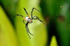 手机号尾数什么数字好風水