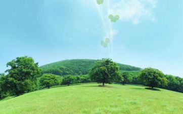 环保化工公司常用的优美名字