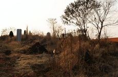 迁祖坟对后代的影响