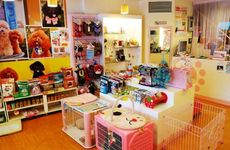 宠物馆取个店名要带渝字的