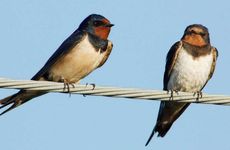 最旺运的手机后四位推荐