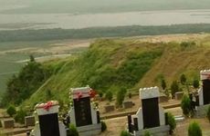 在坟地种树有什么讲究和忌讳？