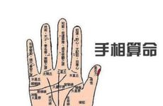 善于交际的手相