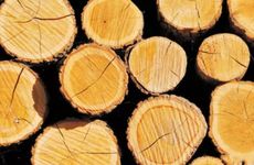 酸菜鱼馆带水字的店名可以叫啥