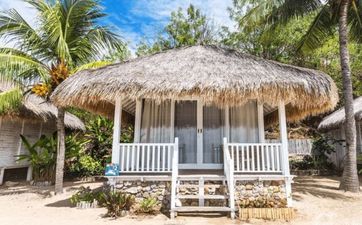 家里有蚂蚁有什么寓意