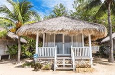 家里有蚂蚁有什么寓意