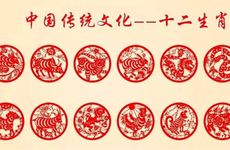 属蛇人最爱的生肖属相