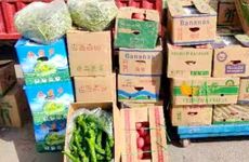 棋牌馆带英字寓意大好前程的店名