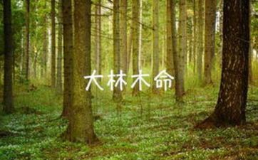 88年大林木命属龙五行缺什么