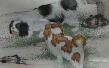 羊和狗犯冲吗 能做夫妻吗