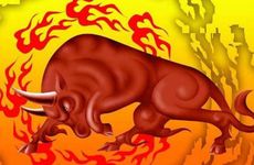 男牛女兔千万别在一起