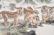 98年虎女和99年兔男合不合适