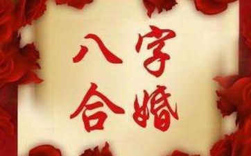 属蛇女人配对属相婚配表 属蛇女人配对属相婚配表