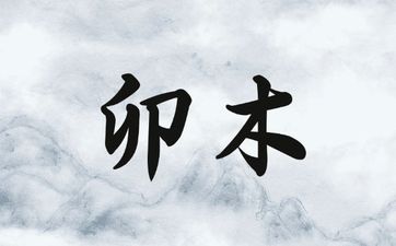 身旺比劫旺特殊格局怎么看喜忌