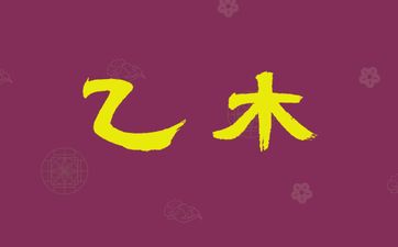 乙木命的男人五行较喜癸水