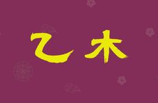 八字乙木命详解