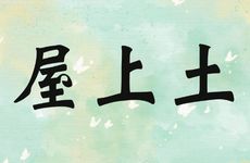 屋上土命五行分析