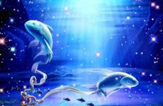 2025年双鱼座12月运势