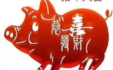 几点的猪最有钱？