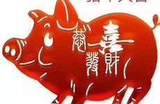 2007是金猪还是土猪