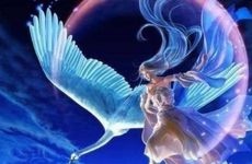 处女座2025年6月运势