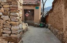 屋上土命喜忌分析