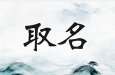 五行缺水的人公司取名