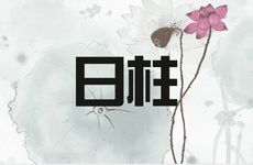 甲寅日柱男命婚配