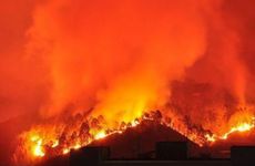 1994年狗山头火命命中缺什么