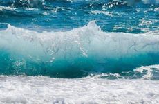 1983大海水命最好的贵人