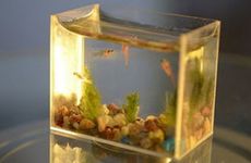 扔旧衣服有什么禁忌