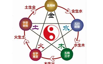 1967年2月5日出生的人五行八字命盘