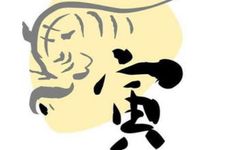 虎年生虎年怀的是真老虎命强