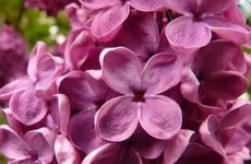 葬礼上为什么要“摔盆”？