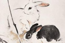 家中养兔子的寓意是什么