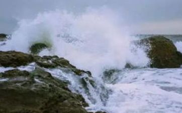 大海水和石榴木命婚姻生活如何 大海水和石榴木命婚姻生活如何