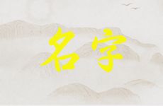 2025年九月三十出生林姓男孩名字怎么取