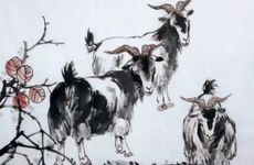 带能字的羊肉馆特别顺耳的店名