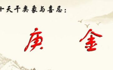 戌是生庚还是克庚金