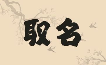 2025年9月29号出生杨姓宝宝取名叫什么