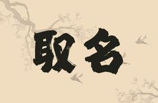 2025年11月13号出生张姓宝宝取名叫什么