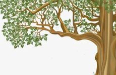 大林木命适合什么颜色？