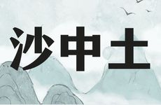 1977年属蛇沙中土适合干什么职业