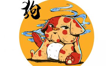 哪年的狗是苦命狗