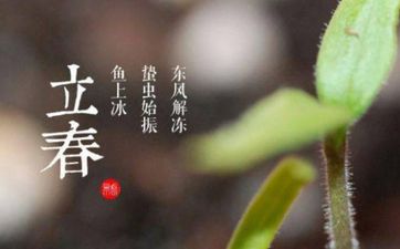 梦见自己怀孕五个月左右了